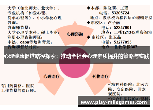 心理健康促进路径探索：推动全社会心理素质提升的策略与实践