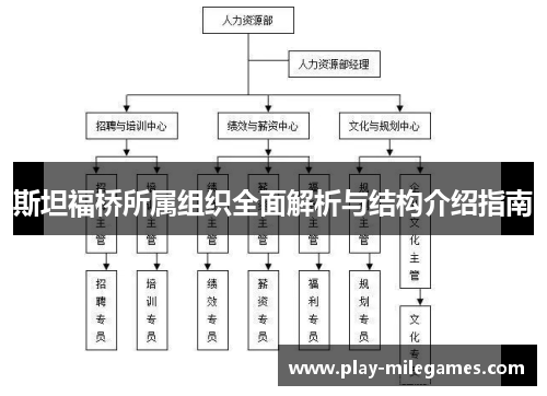 斯坦福桥所属组织全面解析与结构介绍指南