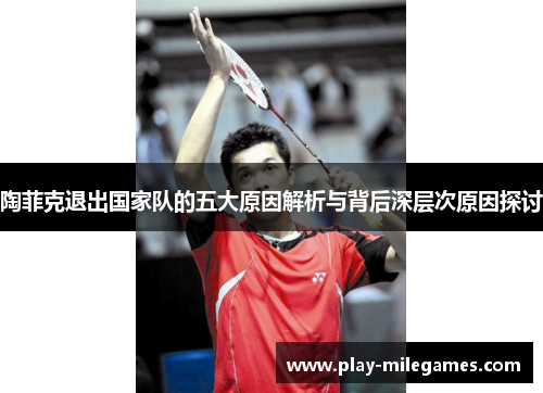 陶菲克退出国家队的五大原因解析与背后深层次原因探讨 陶菲克退出国家队的五大原因解析与背后深层次原因探讨
